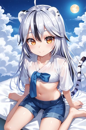 Korea_background, high_resolution, best quality, extremely detailed, HD, 8K, masterpiece, best quality, very aesthetic, absurdres, (newest) , clouds, mooN, 1 girl,  figure_sexy, hot, score_9, score_8_up, score_7_up, (night:1.0), SHuz, rangi, (flat chest:1.4), (short stature:1.4), tiger ears, tiger tail, multicolored hair, white hair, black hair, long hair, sit on, from above. Happy, smile