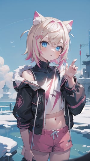 Masterpiece, high quality, ultra detailed, cinematic lighting, vibrant, richly colored, BREAK
1girl, upper body, female focus, MococoAbyssgard, anxious, parted lips, head tilt, multicolor_hair, blonde, pink highlights, jacket, crop top, shorts, BREAK beautiful serene sky,