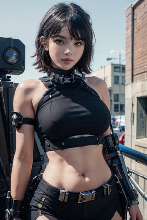 female, ((masterpiece, best quality, ultra detailed, absurdres), girl), (beauty girl), (ultra-high picture quality) ,(ultra realistic,32k, masterpiece:1.2),(high detailed skin:1.1),( high quality:1.1), A cute girl, cyborg, machine, beast, crop_top, 