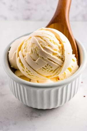 scoop of white icecream in the bowl