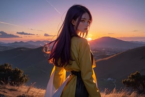 from above, from behind, cowboy shot, turn to look at viewer, (1girl:1.2), (purple hair:1.2), long hair, yellow eyes, black jacket, white dress, arms behind, (backlighting:1.2), glowing eyes, Dawn and dusk, sunset, twilight, (gradient sky:1.3), (dark sky:1.14), red sky, orange sky, pink background, outdoors, sun above horizon, (white border:1.5), (purple flower:0.7)
