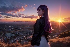 from above, from behind, cowboy shot, turn to look at viewer, (1girl:1.2), (purple hair:1.2), long hair, yellow eyes, black jacket, white dress, arms behind, (backlighting:1.2), glowing eyes, Dawn and dusk, sunset, twilight, (gradient sky:1.3), (dark sky:1.14), red sky, orange sky, pink background, outdoors, sun above horizon, (white border:1.5), (purple flower:0.7)
