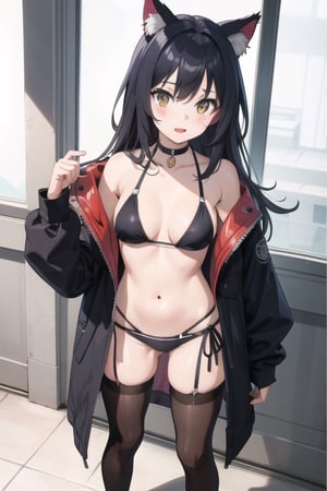 Goth Catgirl loli, sexy, standing, bikini, stockings, jacket