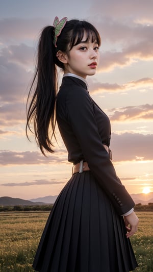 masterpiece, best quality, highres, aakanao, long hair, side ponytail, hair ornament, black jacket, long sleeves, belt, pleated skirt, black skirt, sunset, field, from side, standing, cowboy shot,