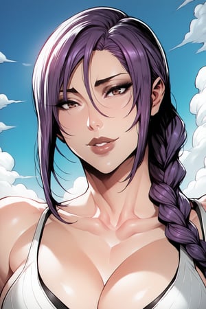 score_9, score_8_up, score_7_up, score_6_up, score_5_up, score_4_up, MAIDOLL, 1 girl, black and dark-purple hair, braided ponytail, hair ornament, brown lips, fit, smiling, dutch angle, portrait