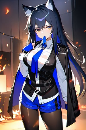 best quality, masterpiece, 1girl, animal_ear_fluff, animal_ears, arknights, black_hair, black_jacket, black_pantyhose, black_vest, blue_gloves, blue_necktie, blue_shorts, breasts, brown_eyes, closed_mouth, fingerless_gloves, fire, gloves, jacket, jacket_on_shoulders, long_hair, long_sleeves, looking_at_viewer, medium_breasts, mouth_hold, necktie, pantyhose, pantyhose_under_shorts, shirt, shorts, solo, texas_(arknights), texas_the_omertosa_(arknights), very_long_hair, vest, white_shirt, wolf_ears