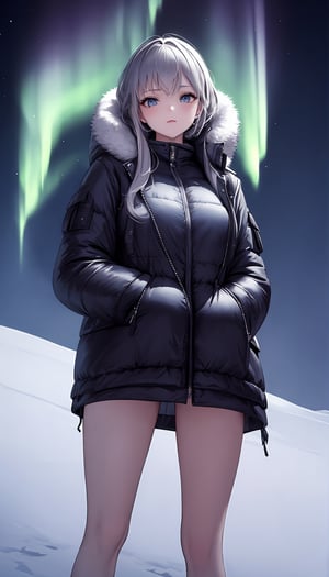 (best quality, masterpiece:1.2),ultra detailed,1girl,fluffy coat,northern_lights