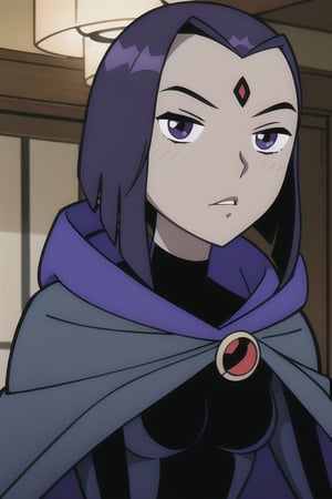 Raven,
Teen Titans,
Grey skin,
1 girl, purple cape, black bodysuit, 
