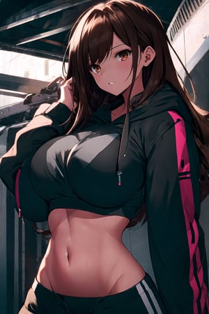 best quality, ultra high res 1girl, crop top hoodie, busty, huge breasts, midriff, skinny, big pelvic, brown hair, long hair, looking at viewer,girl,detail