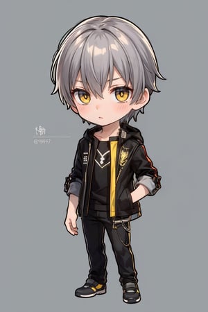 (chibi:1.5), caelus 1boy, perfect gray hair, perfect yellow eye, neutral expression, looking at viewer, black jacket, perfect face, (best quality:1.2), hyper detailed, digital, beautiful background