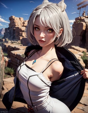 masterpiece, best quality, (detailed background), (beautiful detailed face, beautiful detailed eyes), absurdres, highres, ultra detailed, masterpiece, best quality, detailed eyes, Mio, From Xenoblade, 1girl, animal ears, grey hair, braid, breasts, fingerless gloves, jacket, looking, at viewer, off shoulder, short hair, female_solo, yellow eyes, at a landscape, guiltys, from side