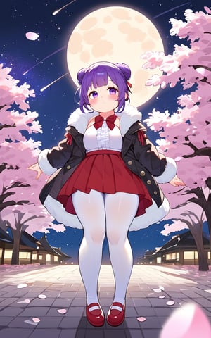 score_9,score_8_up,score_7_up, 1girl,looking at viewer,blush,short hair,bangs,skirt,long sleeves,closed mouth,standing,purple eyes,jacket,full body,purple hair,pantyhose,sidelocks,outdoors,frills,open clothes,sky,shoes,hair bun,tree,coat,fur trim,petals,night,red skirt,moon,single hair bun,cherry blossoms,red footwear,star (sky),night sky,full moon,starry sky,white pantyhose,fur-trimmed jacket,shooting star