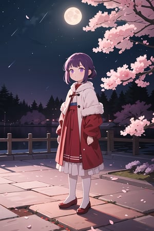 (best quality, 8K, ultra-detailed, masterpiece), (ultra-realistic, photorealistic), A mesmerizing scene featuring a lone girl with enchanting purple eyes, standing against a serene night background. The moon illuminates the surroundings, casting a soft glow on the cherry blossoms in full bloom. The girl is adorned in red fluffy clothes, creating a striking and dreamlike composition.