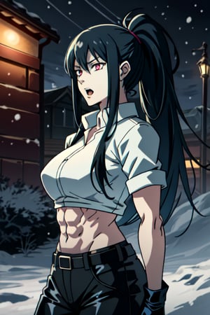 ESDEATH, solo_female, muscular_female, biceps, abs, gorgeous face, scream_expressions, open mouth, smirking, very long ponytail hair, shiny hair, black hair, expressive eyes, hard red eyes, linked_thick_eyelashes, pink latex shoulderless shirt, black pantalon, shaped clothes, night_snow_weather, released_expressions,makima \(chainsaw man\),fate/stay background
,microphone, mic, goth,