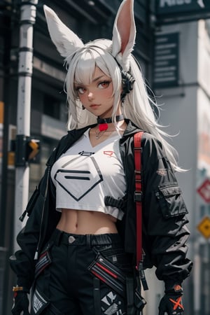 masterpiece, best quality, highres,1girl, solo, mature, milf, mirko mha, rabbit ears, long hair, white hair, wide hips, light dark skin, strong tanned skin, white hair, red eyes, animal ears, rabbit girl, muscular female, abs, huge breasts, sexy, jewelry, choker necklace, bracelet, techwear pants, techwear  t-shirt, techwear coat, gloves knuckles, urban techwear 