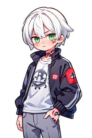 solo, looking at viewer, short hair, bangs, shirt, 1boy, closed mouth, green eyes, jacket, white hair, male focus, open clothes, pants, grey background, open jacket, black jacket, tattoo, glowing, scar, black background
