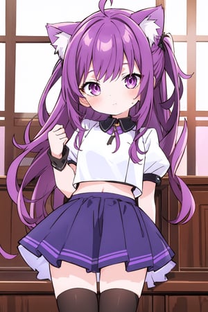 (bets quality)long purple hair, purple crop top, purple ruffled sleeves, short purple skirt, purple cat ears,