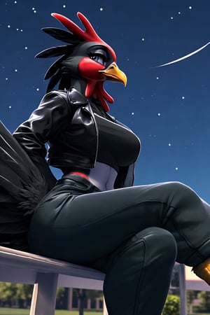 (Masterpiece, artwork) ((furry female adult, solo focus)) (Chicken, avian) low angle view, black pants (park background, night sky) (black fur, black feathers, feathers) park bench, crossed legs, expressionless, large breasts, thick thighs, black crop top, black leather jacket,nj5furry,anthro