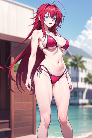 Rias Gremory,sexy,bikini ,pretty legs 