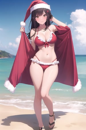 female santa  bikini full body standing 