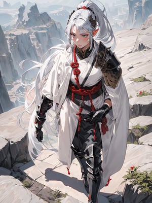 1girl,18 years old,beautiful elven girl,(((onmyouji))),(((suikan))),armor,(White cloak with red decoration),(((black gauntlet and glove))),((silver long ponytail hair)),((Walking on the cliff))