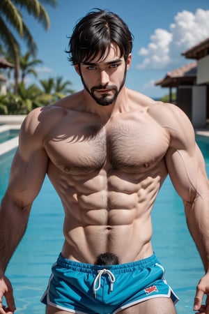 abs, male focus, muscular, muscular male, pectorals, bara, facial hair, large pectorals, male pubic hair, chest hair, thighs, navel hair, penis, pubic hair, thick thighs, nipples, body hair,  hairy, stomach, stubble, solo, erection, 1boy, mature male, short hair, navel, veiny penis, veins, sideburns, biceps, beard, feet out of frame,  armpit hair, happy sex, long sideburns, foreskin, bare pectorals, very short hair, blue eyes, swimming shorts, blue hair