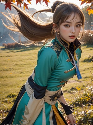 20 years old, women, elegant, grassland,   autumn_leaves, windy, Wang Yuanji