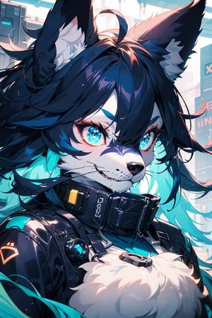 From front body,best quality,(official art,masterpiece,ultra detailed 8k art),fantasy,cyberpunk,(furry,anthro,Fluffy body:1.3),(Fluffy),(fluffy best hands:0.7),furry wolf female,(Close up 1 wolf female0.9),wolf ears, serious, halo, deep purple hair, blue inner color,long side hair, aqua eyes, messy hair,(midnight)