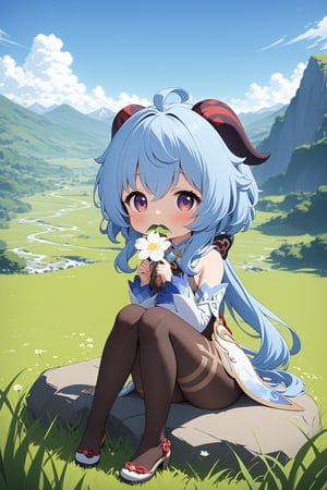 masterpiece, best quality, 1girl, ganyu genshin impact, sitting on stone, looking at viewer, blue sky, grass mountains, white flowers, full body, white flower in mouth, pantyhose