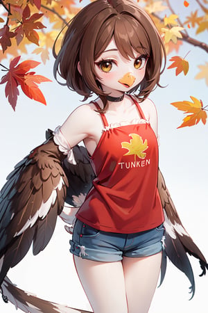 photorealistic, (masterpiece:1.2), best quality, 1girl, (Anthro, Avian), Bird, (Beak), ((Tail Feathers:1.4)), (((turkey girl))), (turkey tail), cute, (winged-arms), ((brown feathers, brown hair, brown skin)), (talons, claws), happy, child, chibi, shorts, autumn,