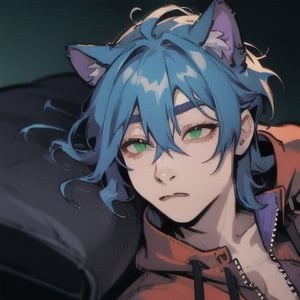 Highly detailed, High Quality, Masterpiece, beautiful, IncrsLimmyWakingUpMeme, 1boy, mature male, cat, green eyes, gray fur, lustrous silver fur, medium length wolfcut hair framing the face, bangs, (hair between eyes), (blue and purple gradient hair), thick bushy eyebrows, furry cat nose, red hoodie, FurryCore