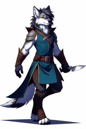 digital drawing, furry gray wolf, male, slightly large pointed ears, furry style hair, digitigrade legs, dnd rogue costume, carries a knife, white background, full body