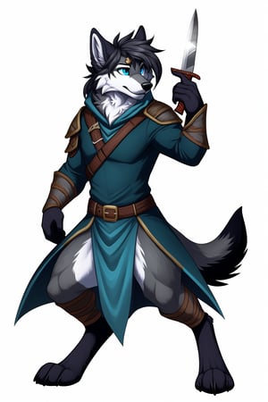 digital drawing, furry gray wolf, male, slightly large pointed ears, furry style hair, digitigrade legs, dnd rogue costume, carries a knife, white background, full body