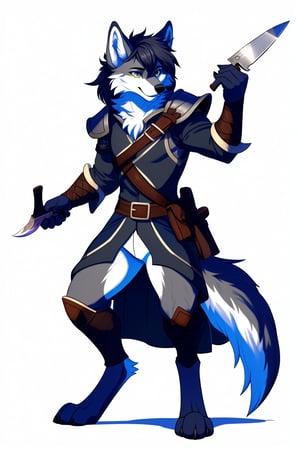 digital drawing, furry gray wolf, male, slightly large pointed ears, furry style hair, digitigrade legs, dnd rogue costume, carries a knife, white background, full body