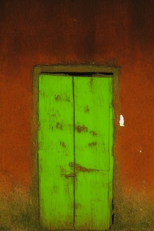 photorealistic image of a mysterious and worm-eaten classic green wooden door through which the years have passed, maintaining a worn and gloomy appearance with nothing more than the closed door and a frame of the same color as the door that surrounds it. place: in a field out of context at twelve at night without any light