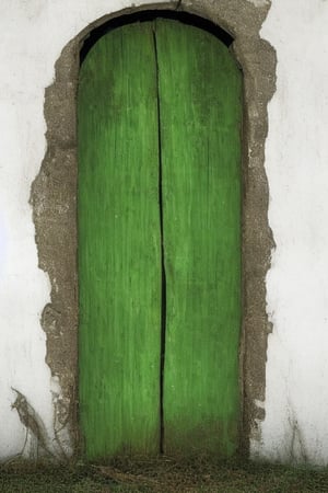 photorealistic image of a mysterious and worm-eaten classic green wooden door through which the years have passed, maintaining a worn and gloomy appearance with nothing more than the closed door and a frame of the same color as the door that surrounds it. place: in a field out of context at twelve at night without any light