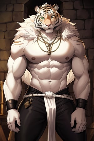 an imposing white semi-human tiger in a dungeon in a medieval fantasy world Sex: male Age: 50 years old Height: tall fur: white and fluffy. Green eyes. Skin covered with white fur. Constitution: athletic, with very toned muscles. Clothing: black pants chewing on the crotch necklace made of a fang, in the dungeon