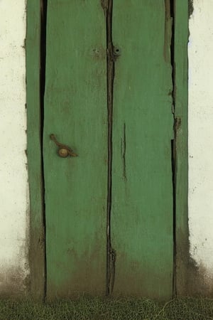 photorealistic image of a mysterious and worm-eaten classic green wooden door through which the years have passed, maintaining a worn and gloomy appearance with nothing more than the closed door and a frame of the same color as the door that surrounds it. place: in a field out of context at twelve at night without any light