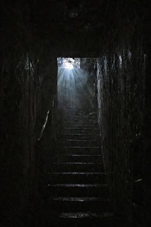 Blurry photo, accidental photofound footage, creepy footage, darkness, stairs, metal stairs, dark spiral staircase, pov,Infrared_photography,dark,glow Eyes,(Creepy Face)