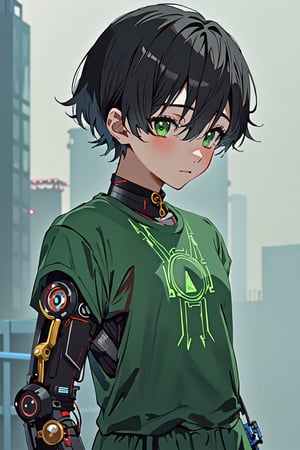 Masterpiece, beautiful, Incredibly detailed, 1guy, Detailed Eyes, anime eyes, Better Hands, perfect fingers, cybernetic left arm, full body , (In a Korea post-cyberpunk city, there is a young and handsome man with short black hair and green eyes, with the left eye being mechanical. He wears green clothes that have a circuitry pattern on them. His prosthetic left arm is mechanical, and his right arm is  normal.) Highly Detailed Background, Full Hd