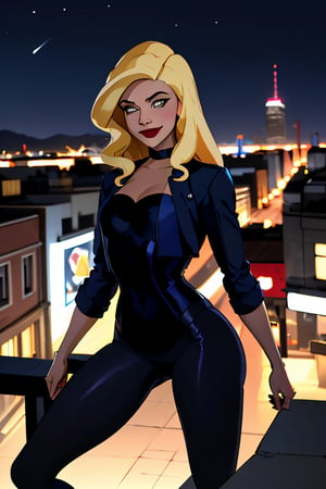 ((masterpiece,best quality)), absurdres,
lora:Black_Canary_JLU:0.7, Black_Canary_JLU, 
solo, smiling, looking at viewer, cowboy shot, 
night sky and city in background, cinematic composition, dynamic pose,
,Black_Canary_JLU