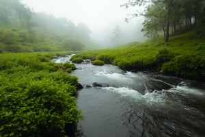 Captured at eye-level on a low-angle shot of a river flowing through a lush green forest. The river's water is flowing in a flowing motion, creating a peaceful and serenerene scene. The sky is a misty white, adding a touch of fog to the scene. To the right of the river, a tree trunk is visible, its branches reaching out to the ground. The trees are covered in lush, green grass, adding depth to the composition.,Cinematic_Enhancer_Style