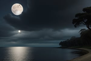Gloomy weather showing the moon over the sea with tree leaves overlooking the side of the water