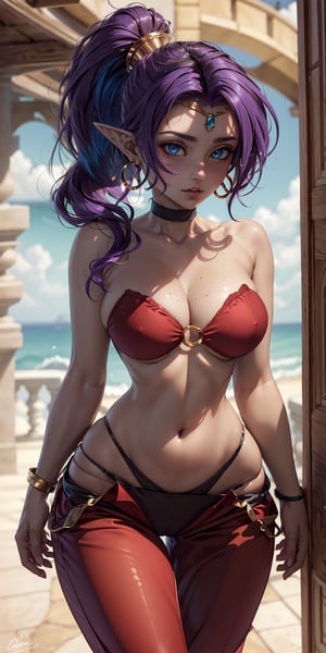 (masterpiece, best quality, ultra-detailed, 8K),High detailed, picture perfect face,blush,freckled,(dark skin),elf,perfect female body,hourglass body shape, very slim waist,very thic hips,(blue eyes,iridiscent eyes),(purple hair,ponytail),cute,sexy,alluring,charming,seductive,erotic,GAME_shantae_ownwaifu,(red o-ring top and harem pants,see-trough silk),cleavage,bare shoulders,hoop earring,bracer,tiara,fantasy,persia,long hair,preform erotic belly dance,flirting,