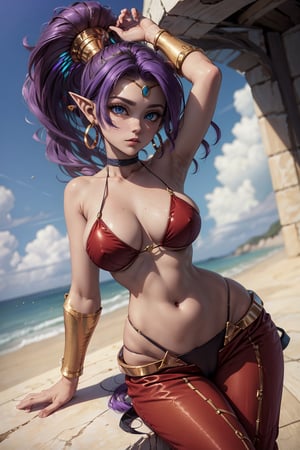 (masterpiece, best quality, ultra-detailed, 8K),High detailed, picture perfect face,(blue eyes,iridiscent eyes),(dark skin),elf,perfect female body,hourglass body shape, very slim waist,very thic hips,(purple hair,ponytail),cute,sexy,alluring,charming,seductive,erotic,GAME_shantae_ownwaifu,(red o-ring top and harem pants),cleavage,hoop earring,bracer,tiara,fantasy,persia,