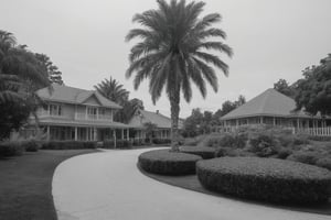 A serene monochrome outdoor scene set in 1912: A charcoal grey sky with wispy clouds barely visible sets the tone for a peaceful afternoon. A tall palm tree stands proudly against the horizon, its gentle tones blending seamlessly with the soft focus of colonial-style buildings lining the road in the distance. A single early model motorcar drives along the road, while to the left, a charming house with a picket fence sits on a slight incline, surrounded by lush greenery. The parked car near the entrance serves as the main focal point, drawing the viewer's eye into the tranquil scene.