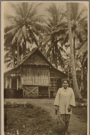 solo, 1girl, standing, monochrome, outdoors, tree, traditional media, border, palm tree, house