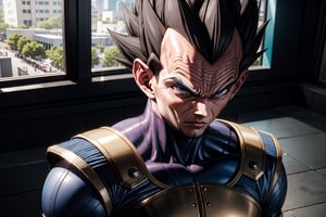 vegeta as a warrior