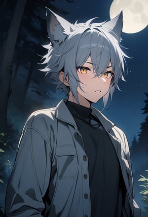 1boy, wolf boy, outdoors, gray hair, aesthetic, full moon, night time, wolf eyes, wolf ears, mountain forest, (masterpiece, best quality:1.4)