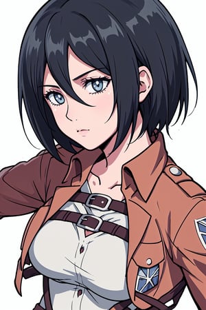 1girl, beautiful face, detailed eyes, masterpiece, illustration, high quality, best quality, Attack on Titan, anime, Mikasa, ultra detailed, anime quality, dynamic angle, white background, complex illustration, special effects, shiny, chest up, no background,Mikasa Ackerman, Shingeki no Kyojin,hmmikasa